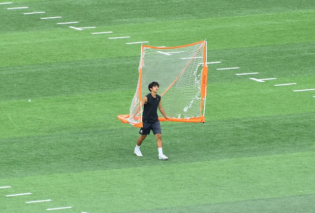 雷纳