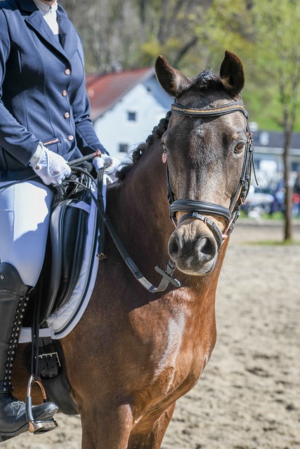 皇马远甩多 皇马远甩多