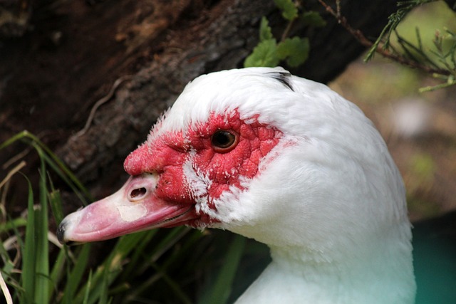 多角度揭露 多角度揭露