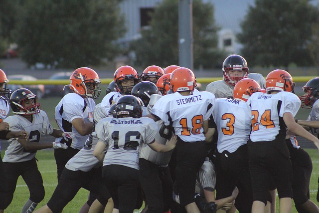 这种创新的 这种创新的