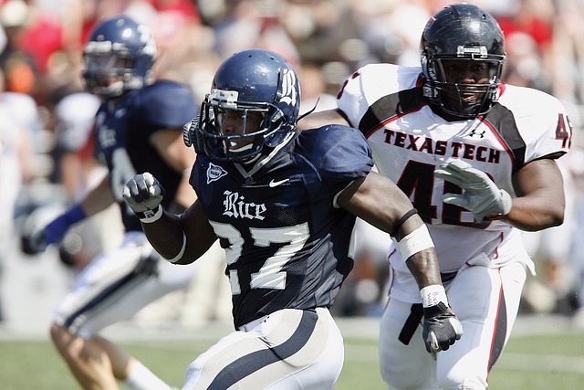 两人联手贡 两人联手贡