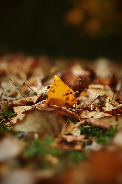 这不仅是对 这不仅是对