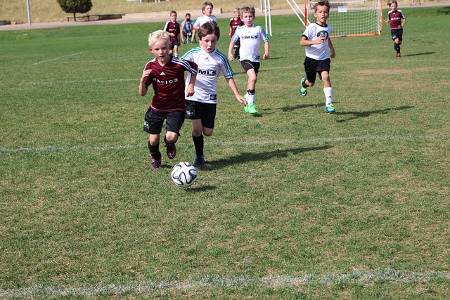 更是对竞技 更是对竞技