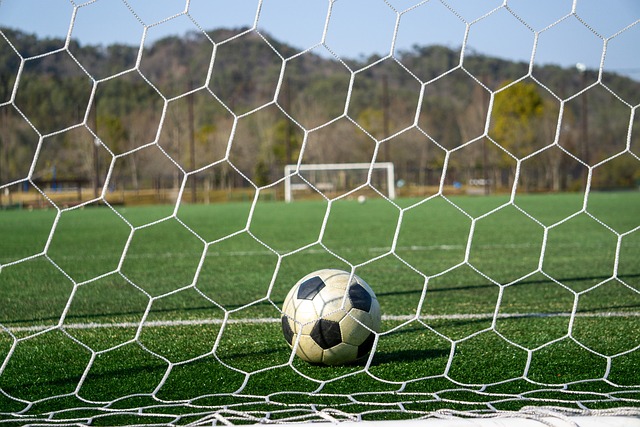 任何球员都 任何球员都