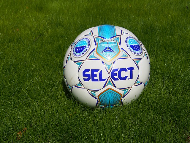 表达了自己 表达了自己