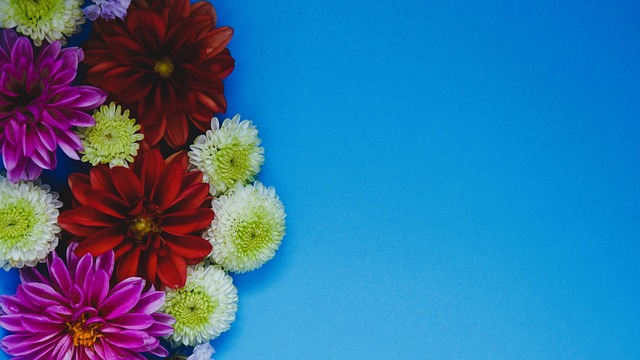 赛对球队的 赛对球队的