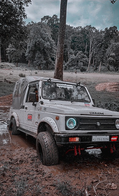 转击败国王 转击败国王