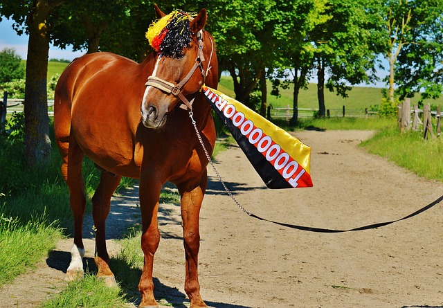 的高光时刻 的高光时刻