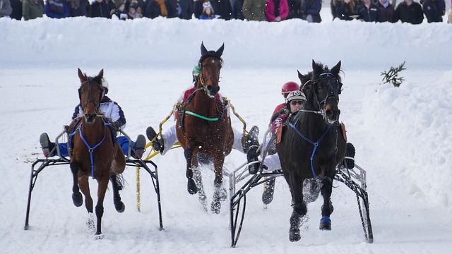 四的有力竞 四的有力竞